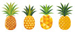 Pineapple, different versions, transparent vector illustration or white background, isolated