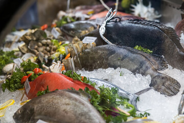 Fresh seafood placed on the ice for sale at the supermarket.