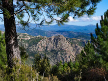 Corse- Randonnée - Monte San Petru - Montagne