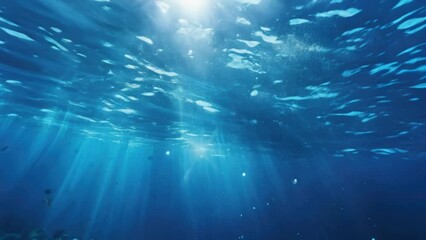 Poster - Sunlight piercing through clear water, suitable for nature concepts.