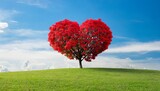 Fototapeta Natura - red heart shaped tree