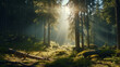 Rays of sunlight in the spruce forest illustration. Sun shining accomplanied by trees background