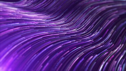 Wall Mural - Purple particle light flow, beautiful and elegant particle lines. Purple stream with striped, flowing neon curve lines background.