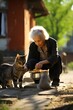 an elderly woman feeds and cares for stray cats. rescuing and caring for animals. Pity and kindness