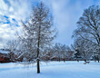 Panorama of a snow-covered park with snowy trees in cloudy day in the Mezaparks district, Riga