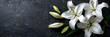Banner of white blooming lilies  displayed on a black  table with copy space 