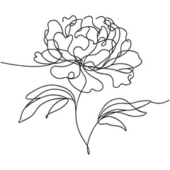 Wall Mural - Beautiful peony flower. Continuous line drawing. Vector illustration