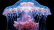 a close up of a jellyfish with blue and orange colors on it's head and body and a black background.