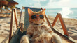 The vacation theme showcases a cat wearing sunglasses relaxing by the blue sea