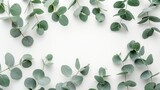 Fototapeta  - Eucalyptus Branches and Leaves Composition for Spring Celebrations Generative AI
