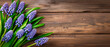 Blue Muscari spring flowers bouquet on wooden table. Top view, copy space.