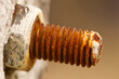 close up of rusty bolt