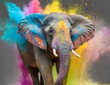 Fototapeta Krajobraz - colorful elephant ready for holi celebration full of joy and happiness