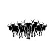 Herd Of Wildebeest Logo Design