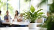 Green plants inside modern office with people sitting at tables in meeting