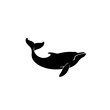 North Atlantic Right Whale Vector Logo