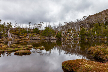 Canvas Print - Walls of Jerusalem National Park, Central Highlands, Tasmania, Australia