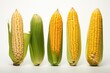 Corn, vegetable , white background.