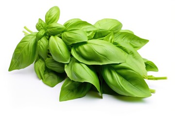 Wall Mural - Basil, vegetable , white background.