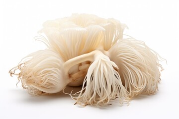 Wall Mural - Enoki mushroom, vegetable , white background.