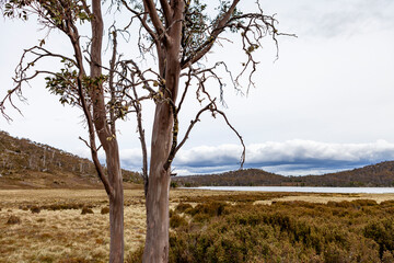 Canvas Print - Walls of Jerusalem National Park, Central Highlands, Tasmania, Australia