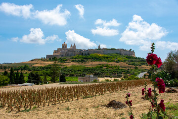 Sticker - Agricultural Fields in Rabat - Malta