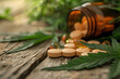 CBD pills rest on a wooden table, symbolizing their role as antidepressants and their potential to induce cellular transformations in neurobiological regions associated with depression.




