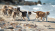 Cats in a Beachside Sprint on Sunny Day
. A lively pack of cats races across a sandy beach, leaving a trail of paw prints and stirred sand under the bright sunlight.
