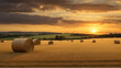 A beautiful golden sunset above an alfalfa field with rolls of round hay bales.  generative ai 
