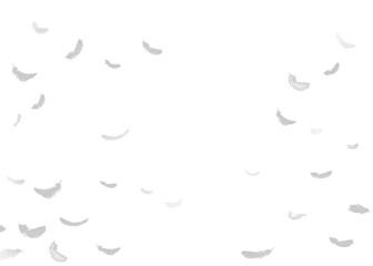 White feathers floating in the air, white feathers isolated on transparent background