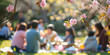 Amidst the soft petals of cherry blossoms, the blurred background of a Japanese garden came alive with the sound of laughter as families gathered for hanami picnics, celebrating the arrival of spring 