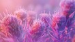 Arctic Symphony: Milk thistle blooms seen up close, exuding a chilly palette akin to Arctic Frost.