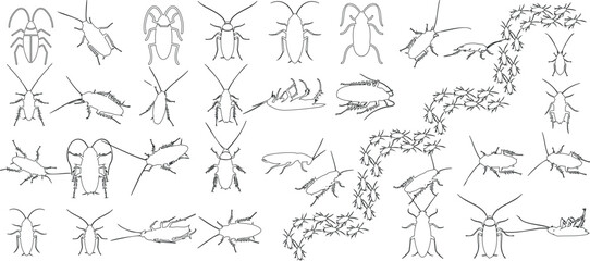 Wall Mural - Detailed cockroach sketches, perfect for entomology enthusiasts, educational materials, artistic inspiration. Collection of insect drawings showcasing diversity and intricacy