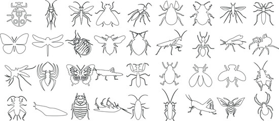 Wall Mural - Insect line art collection, detailed insect drawings of diverse species of bugs, perfect for educational content, nature studies, and art inspiration