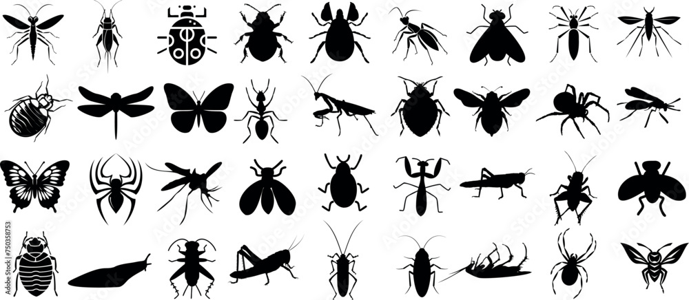 Insect silhouette, detailed black insect vector shapes on white ...