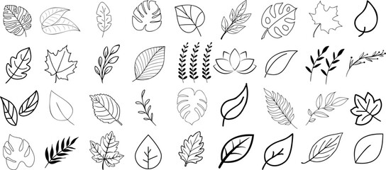 Wall Mural - leaf outline collection, perfect leaf Vector, for design projects. Enhances natural, organic aesthetic. Ideal leaves for backgrounds, artwork. Diverse, monochrome, isolated