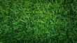 Lush Green Grass Texture Background for Vibrant Nature-Themed Designs