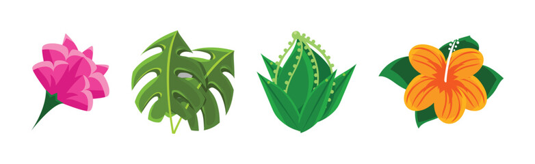 Poster - Tropical Plant with Flower and Green Leaf Foliage Vector Set