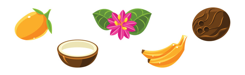 Poster - Tropical Plant with Flower and Fruit Vector Set