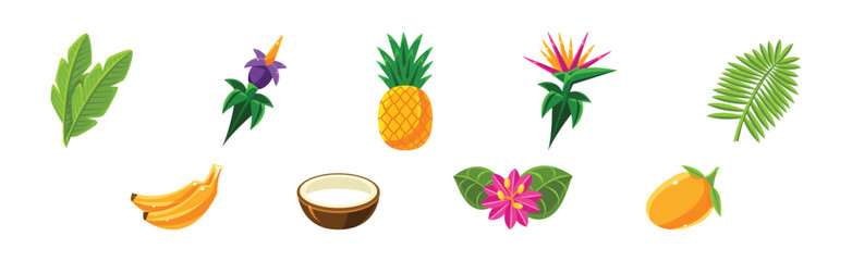 Poster - Tropical Plant with Flower, Fruit and Green Leaf Foliage Vector Set