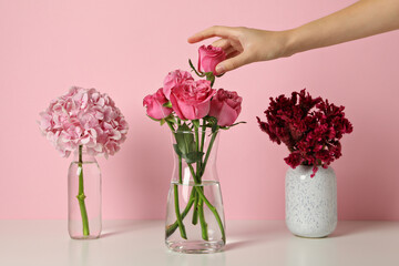 Wall Mural - Beautiful, fresh flowers on a pink background.