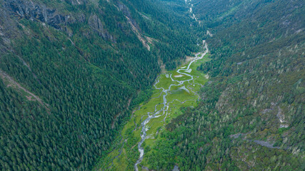 Sticker - Beautiful forest wetland landscape in Sichuan,China