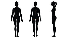 Woman Body Anatomy, Front, Back, Side View, Vector
