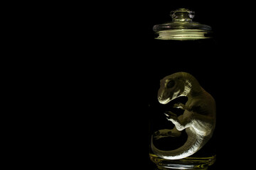 Dinosaur embryo in laboratory jar 