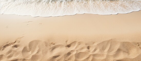 Sticker - Serene Coastal Scene: Sandy Beach Oasis as Gentle Wave Beckons Under Sunny Skies