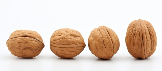 Aufkleber - Variety of Walnuts Arranged Neatly on a Clean White Background for Nutritious and Delicious Concepts