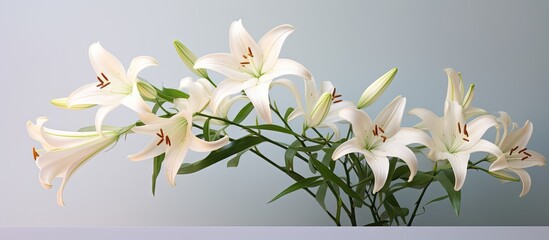 Poster - Elegant Lily Flower Arrangement Enhancing Interior Decor with White Floral Beauty