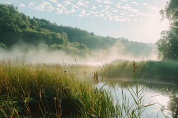 Aufkleber - A serene foggy lake surrounded by tall grass and trees. Suitable for nature and landscape themes