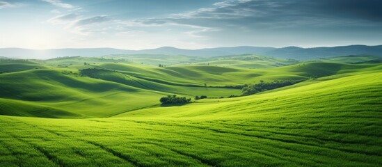 Wall Mural - Tranquil Green Landscape with Rolling Hills and Verdant Trees in Rural Agriculture Setting