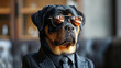 A cool rottweiler dog wearing sunglasses and a black suit